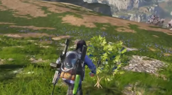 《七日世界 Once Human》蓝莓位置和用途